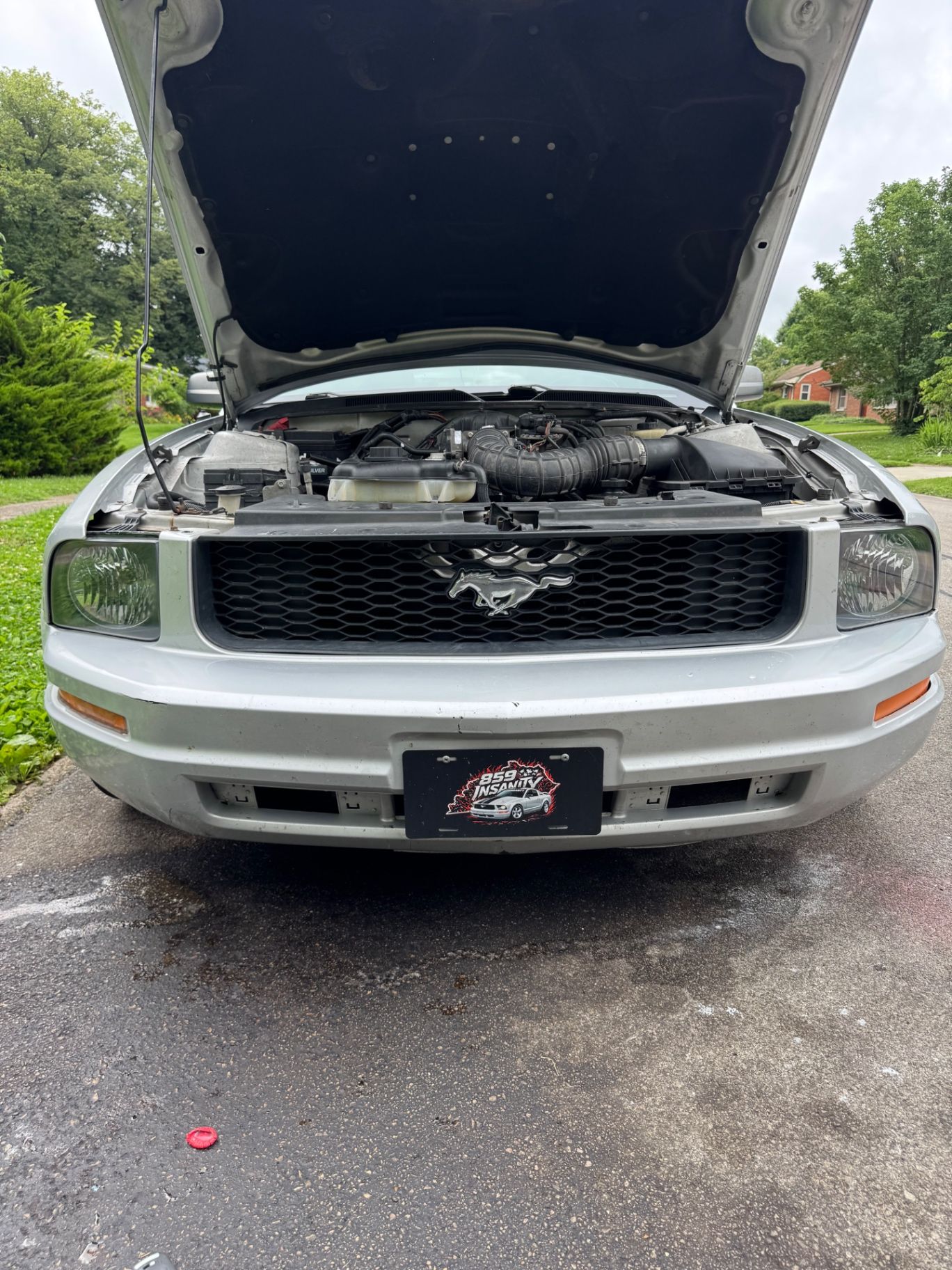 1 Headlight Cleaning